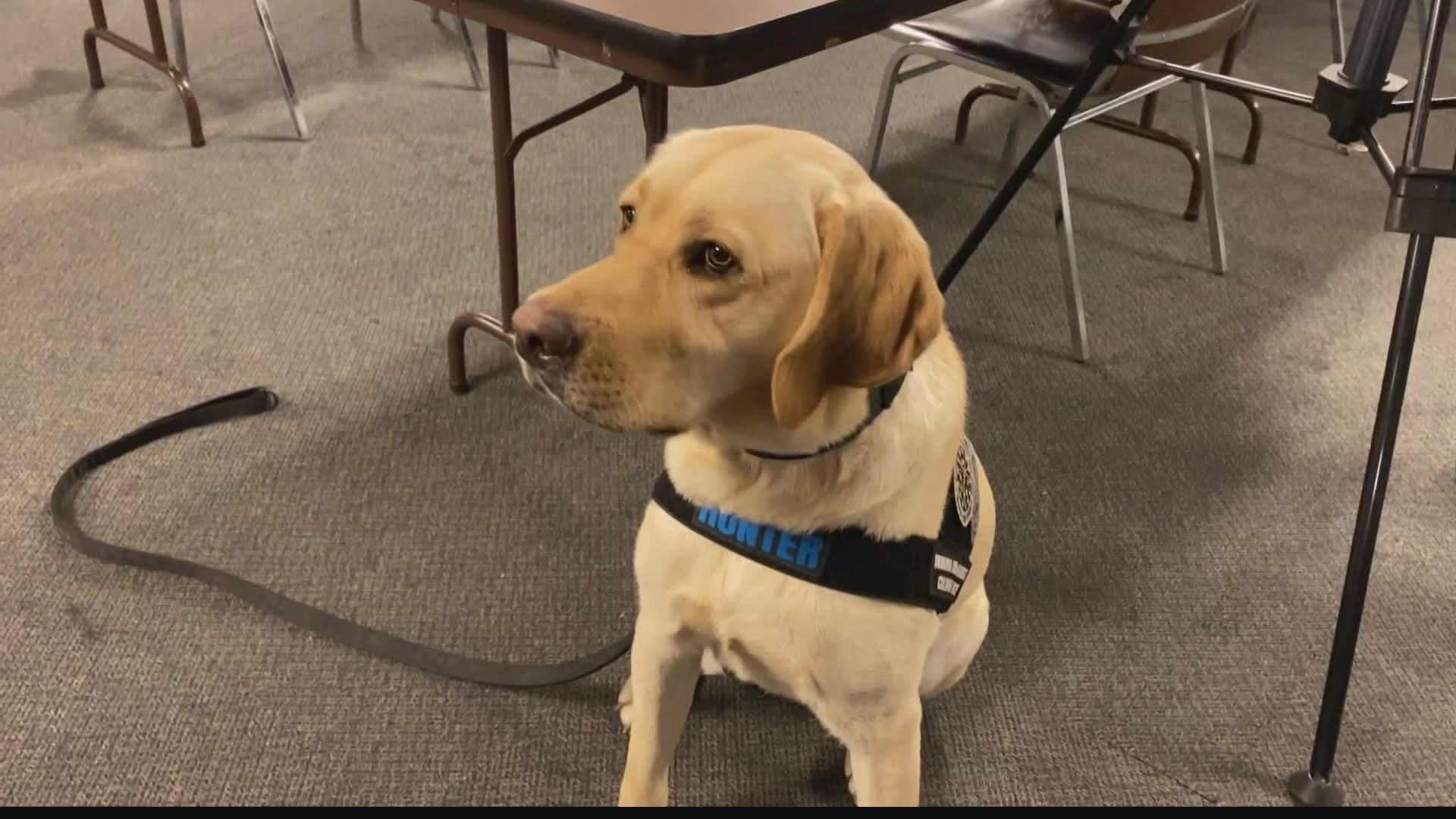 K-9 Hunter helps detectives sniff out digital media that could contain evidence of child exploitation.