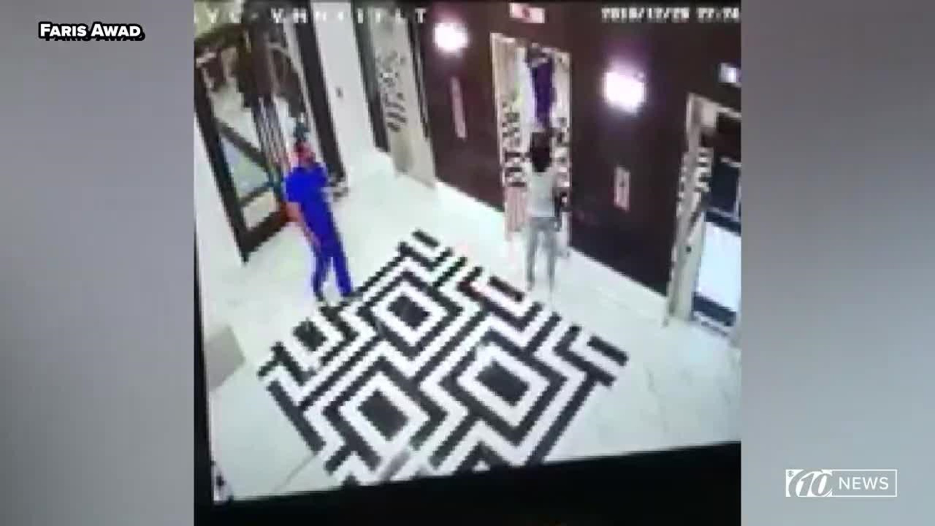 Terrifying video shows Tampa doctor save dog from being strangled by an