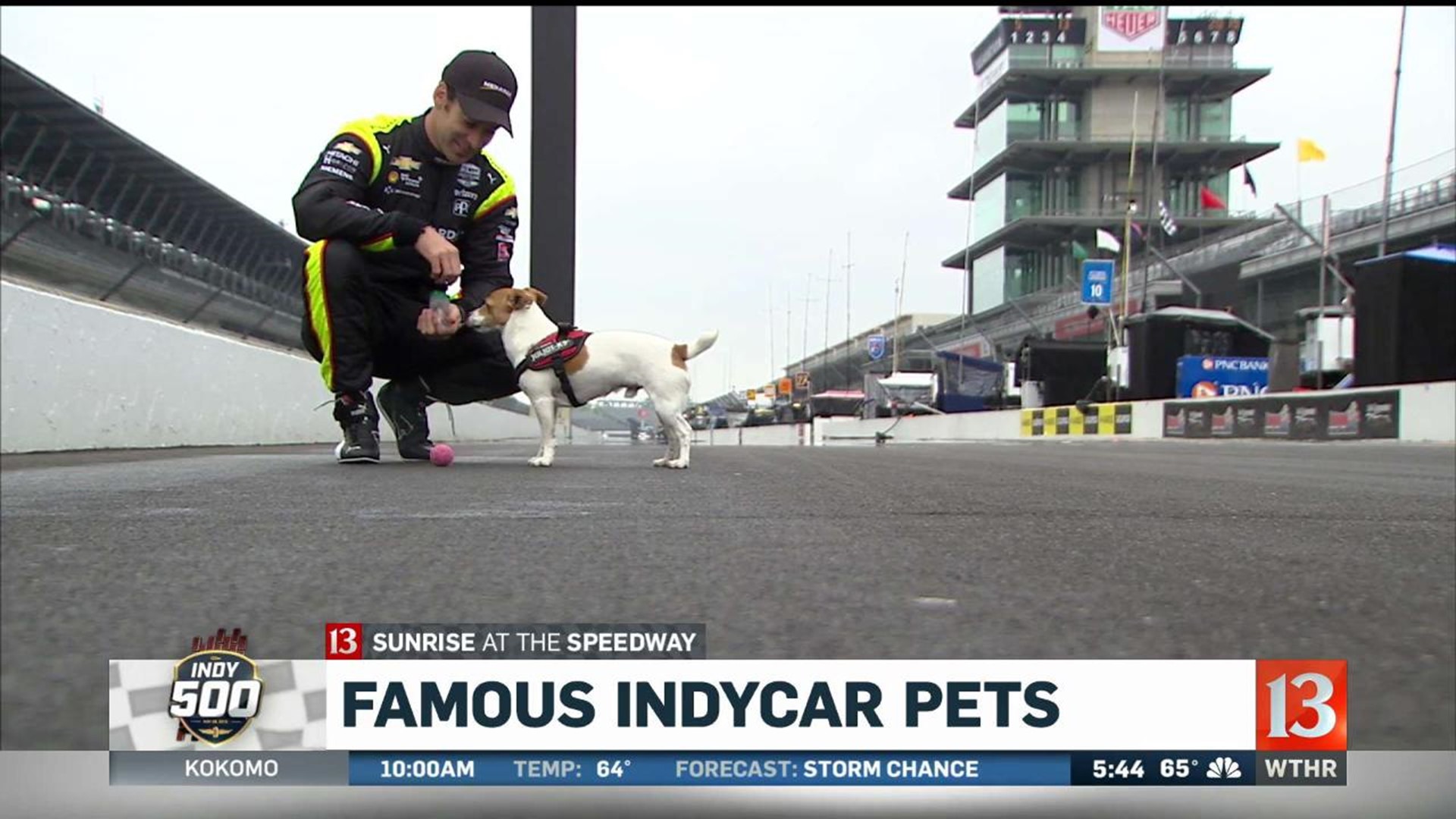 IndyCar drivers and their pets