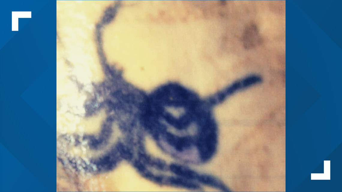 IMPD releases tattoo photo of unidentified woman found dead in home on