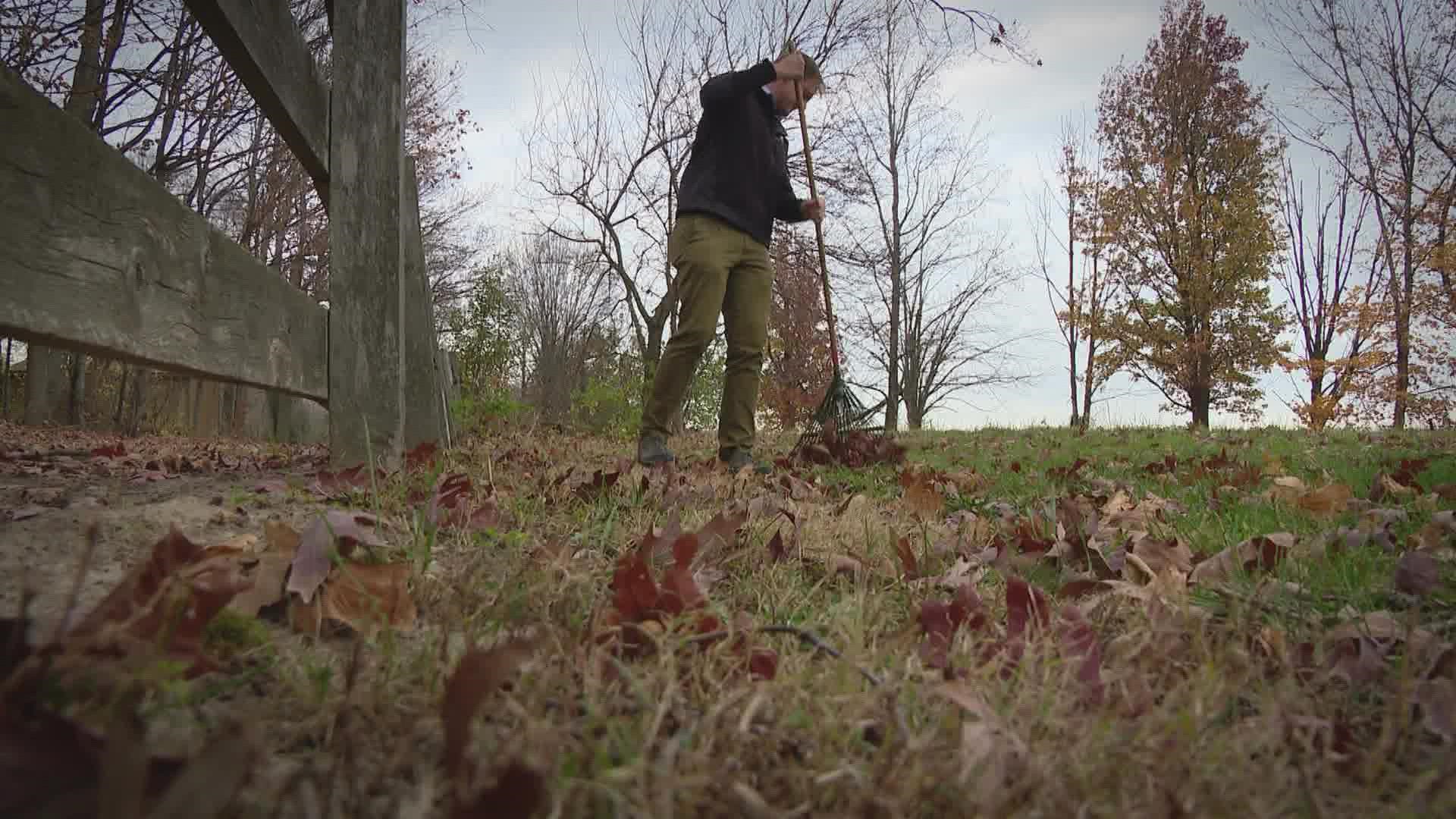 Experts say there's a better way to take care of your leaves this fall.