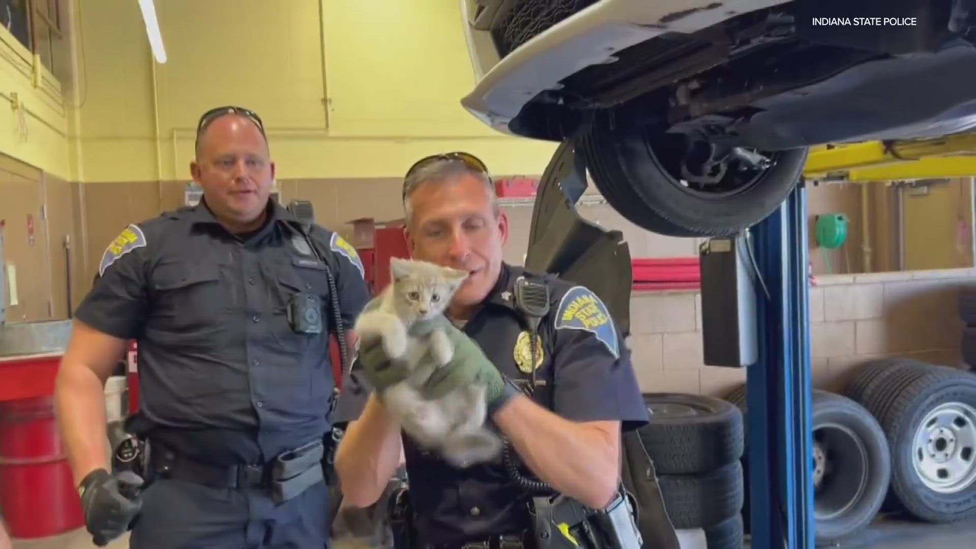 Indiana State Police troopers made a rescue in the garage, pulling a kitten out from under on of their patrol cars.