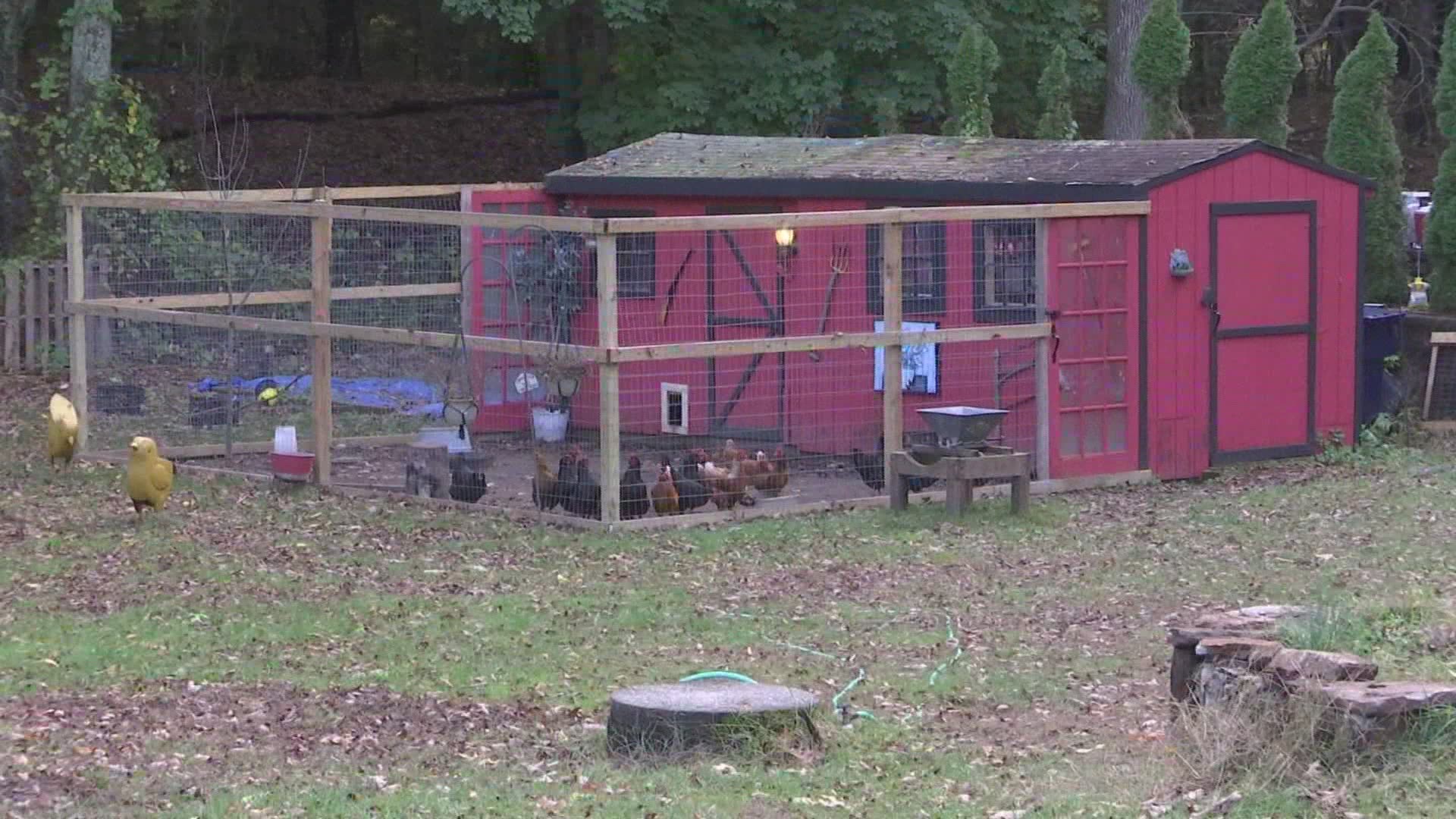 A Rhode Island community stepped up big to help the owner of an egg stand who had all his supplies and money stolen.