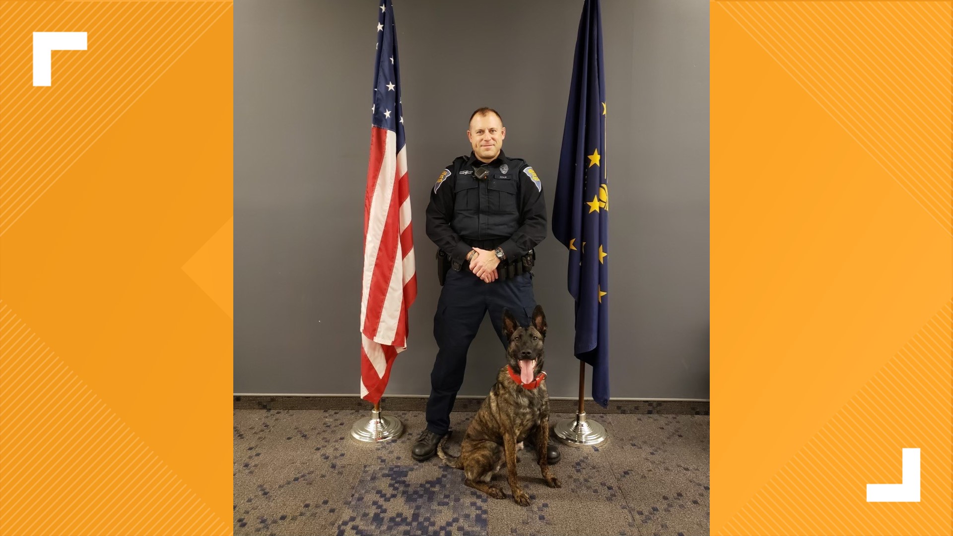 Isp K 9 Receives Body Armor Donation