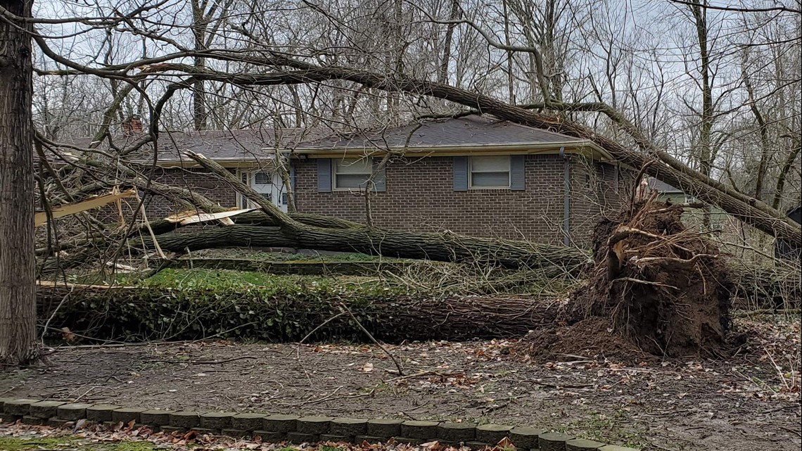 Man killed by fallen tree during storm in Carmel