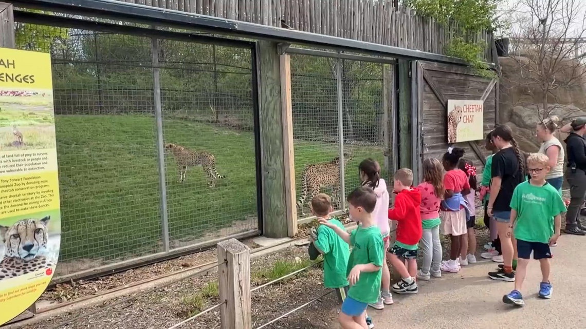 'They fell short this time' | Indianapolis Zoo plans to work with AZA ...