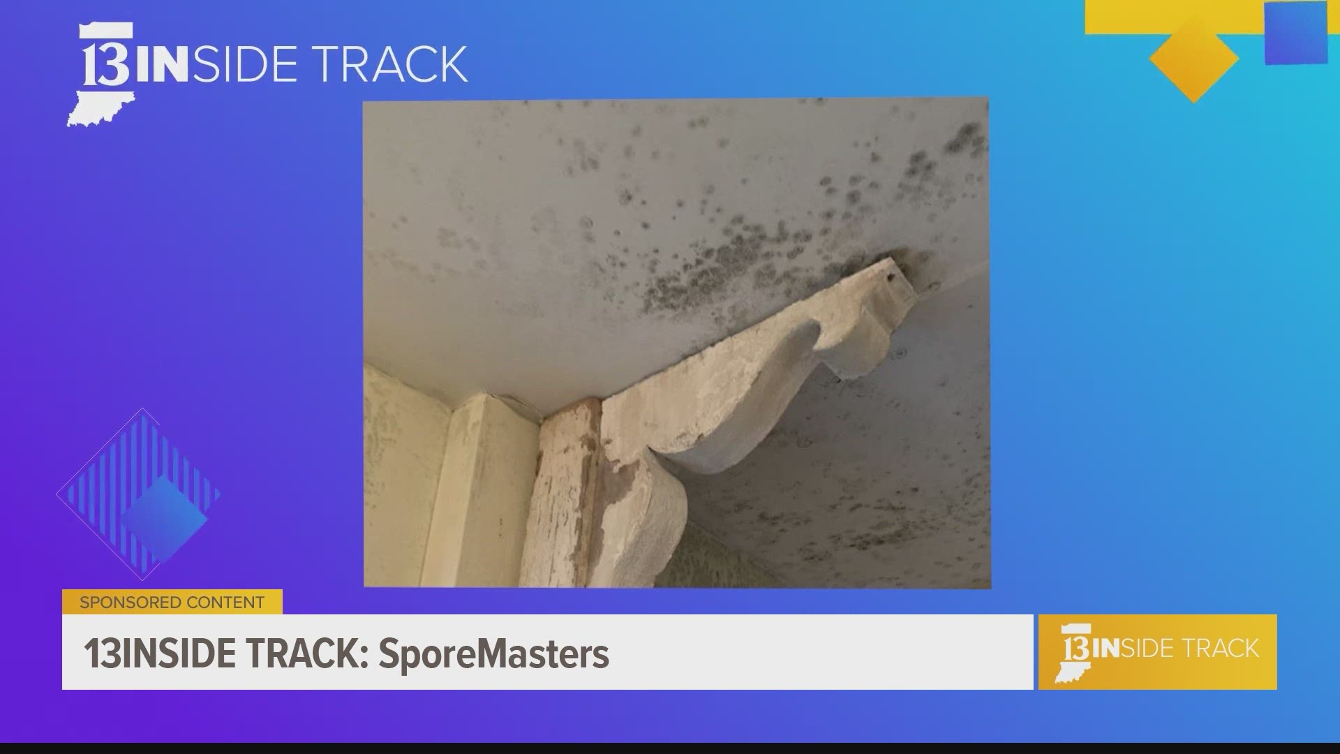 Sporemasters offers mold clean-up as well as viral clean-up.
