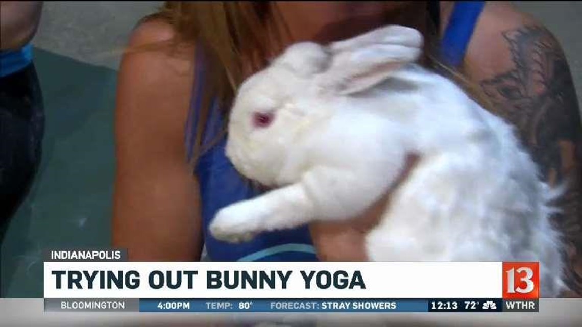 Bunny Yoga