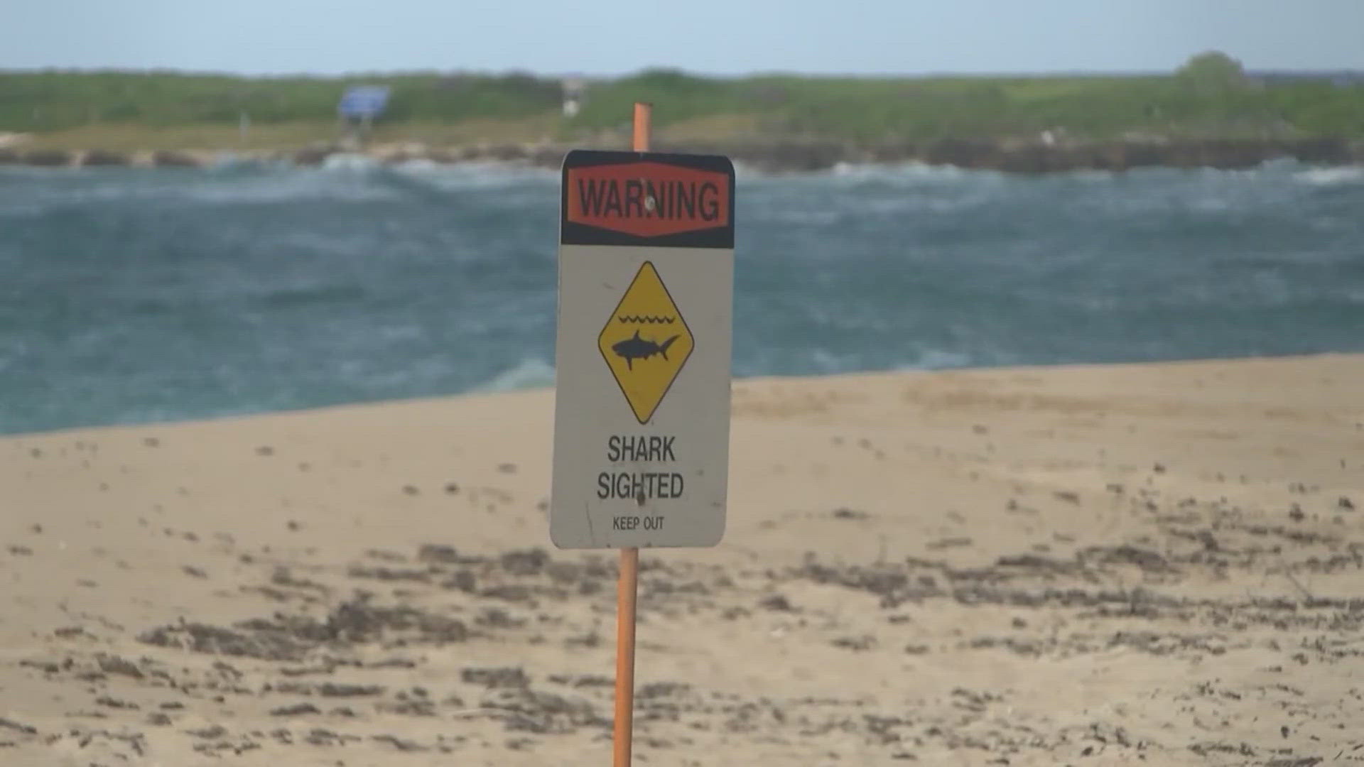 Officials say they got the call Sunday about a surfer fatally injured in a shark attack on the north shore. Perry was pronounced dead at the scene.