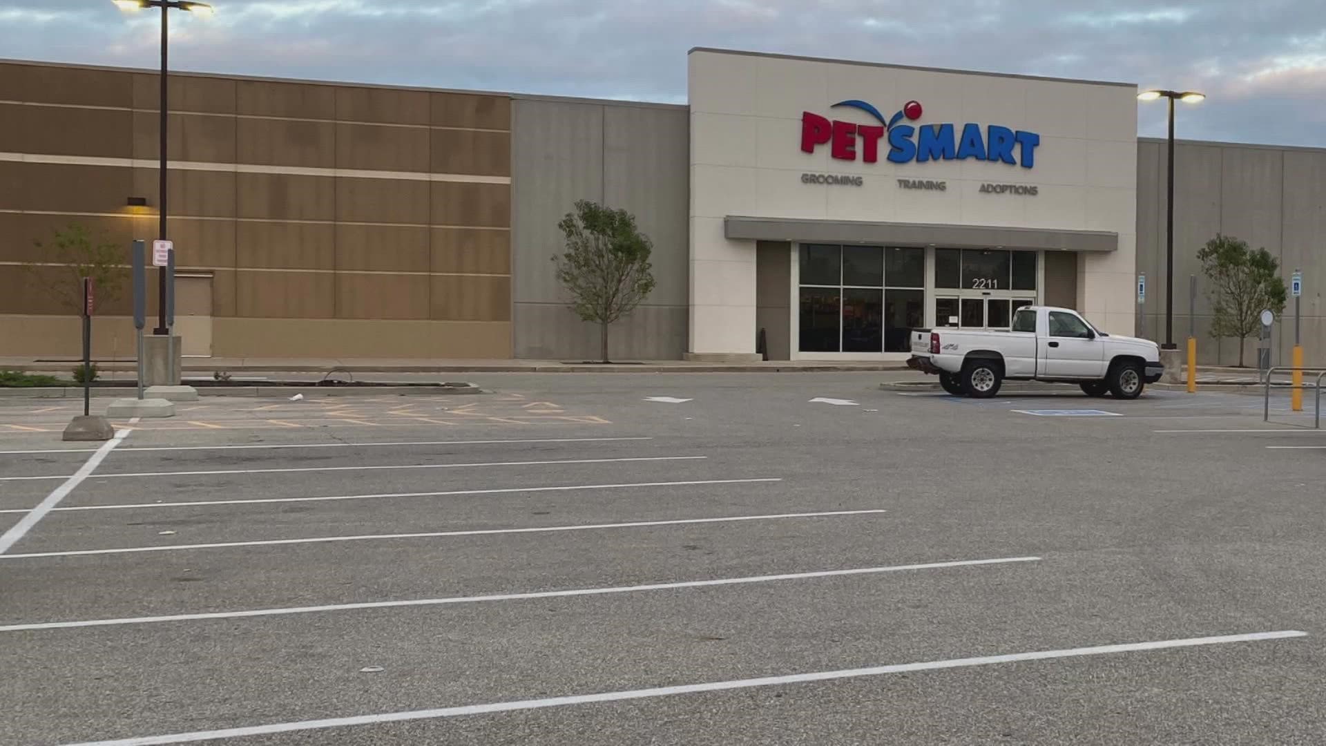 Investigation finds 47 dogs died after grooming at PetSmart over