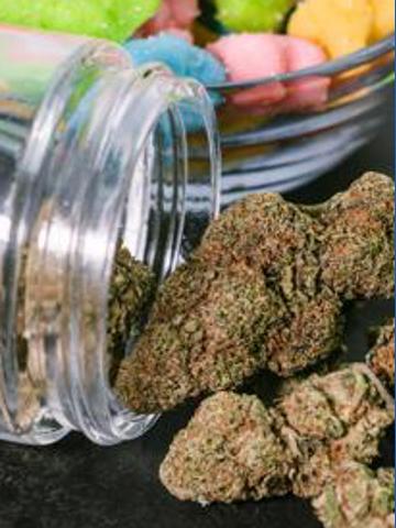 Earth Essence CBD Gummies: A Christmas Earth-Friendly Gift That Actually Works