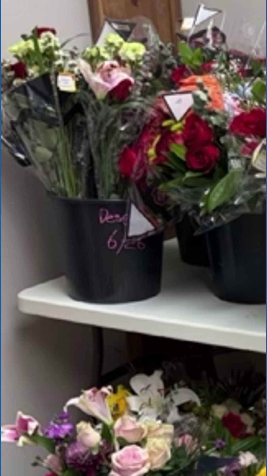 Long Life Roses The Rebloom Project helps give flowers a second life | America 250 ...