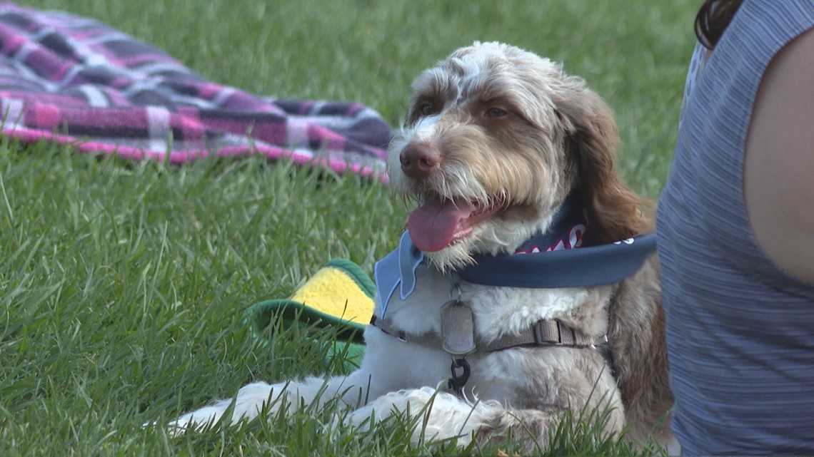 Bark to the Park Pre-Game - Indianapolis Cultural Trail