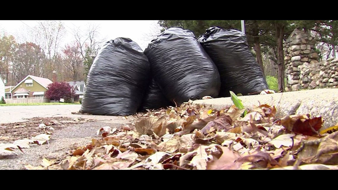 Indianapolis leaf collection begins Monday