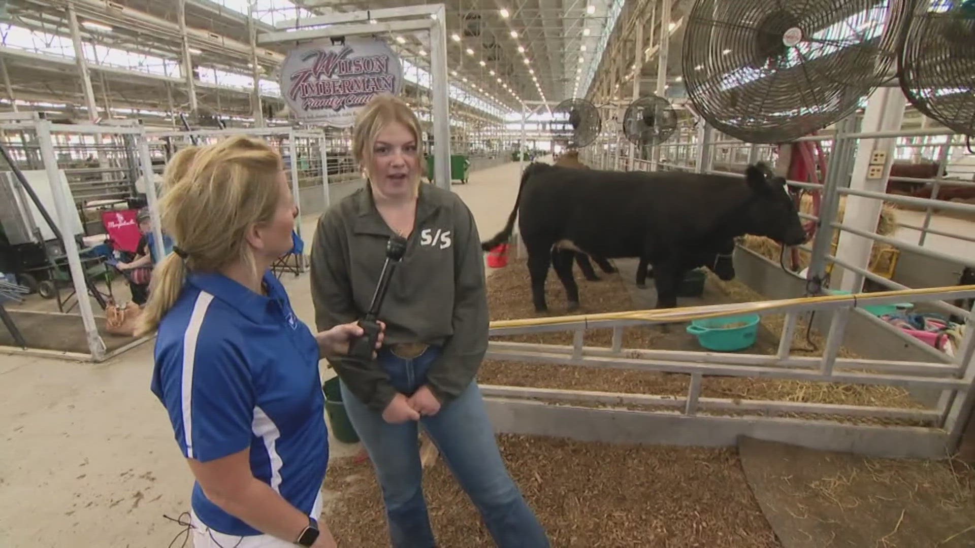 Anne is at the Indiana State Fair showing off the animals!