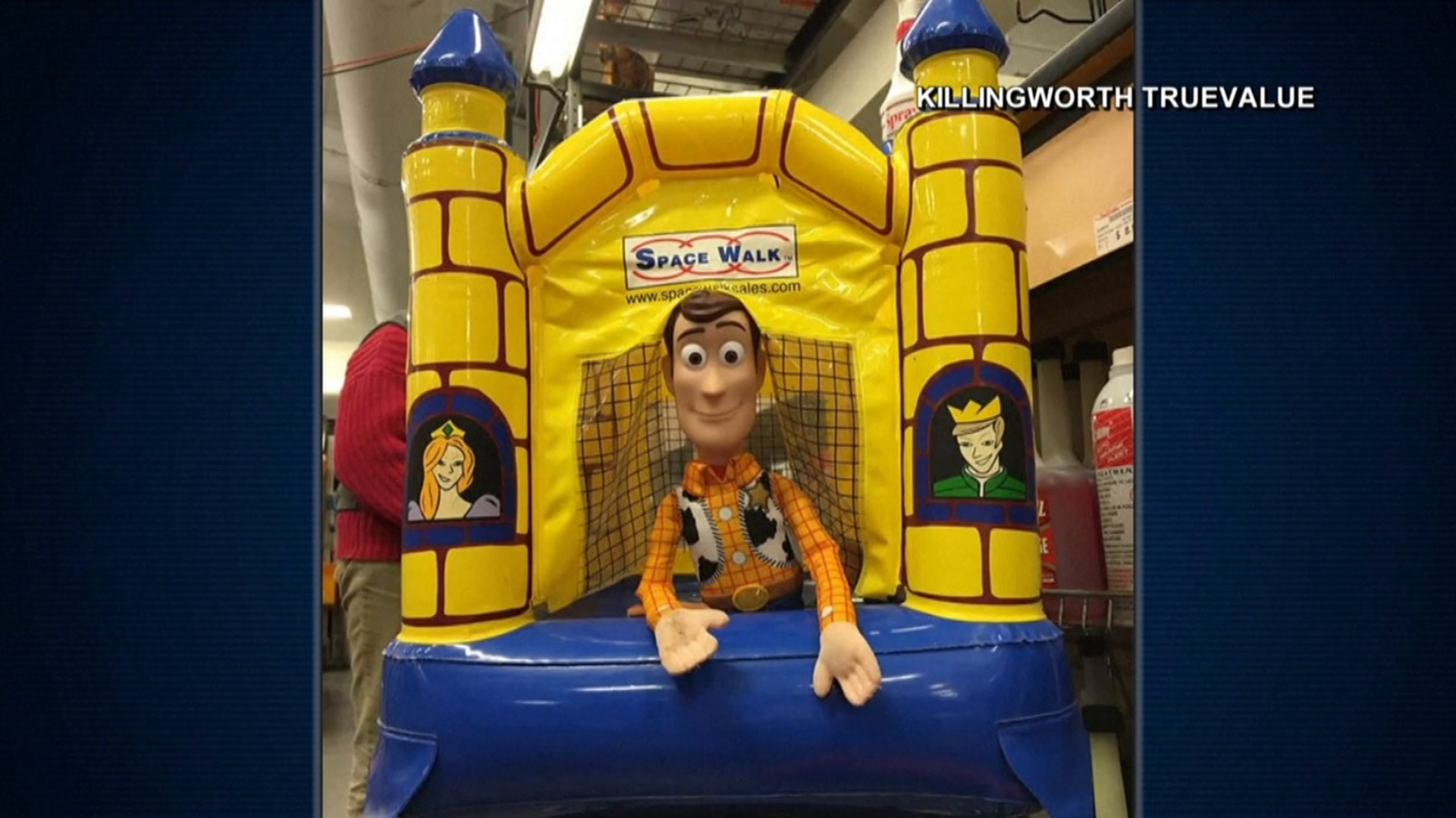 lost woody doll