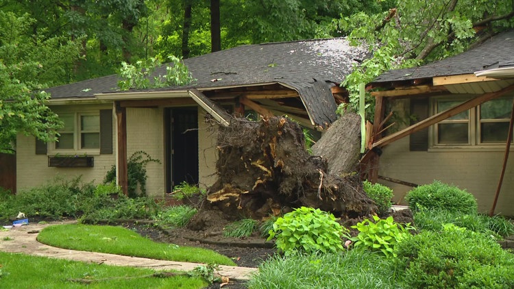 Powerful storms leave widespread damage, topples tree into Lawrence home