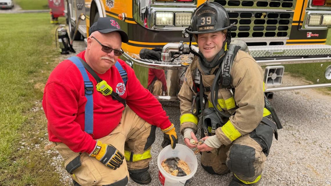 Firefighters rescue baby chicks from Monroe County house fire