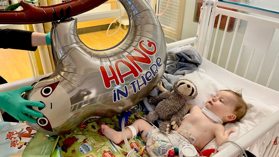 Cincinnati Zoo requested to call child sloth after toddler who died from uncommon syndrome