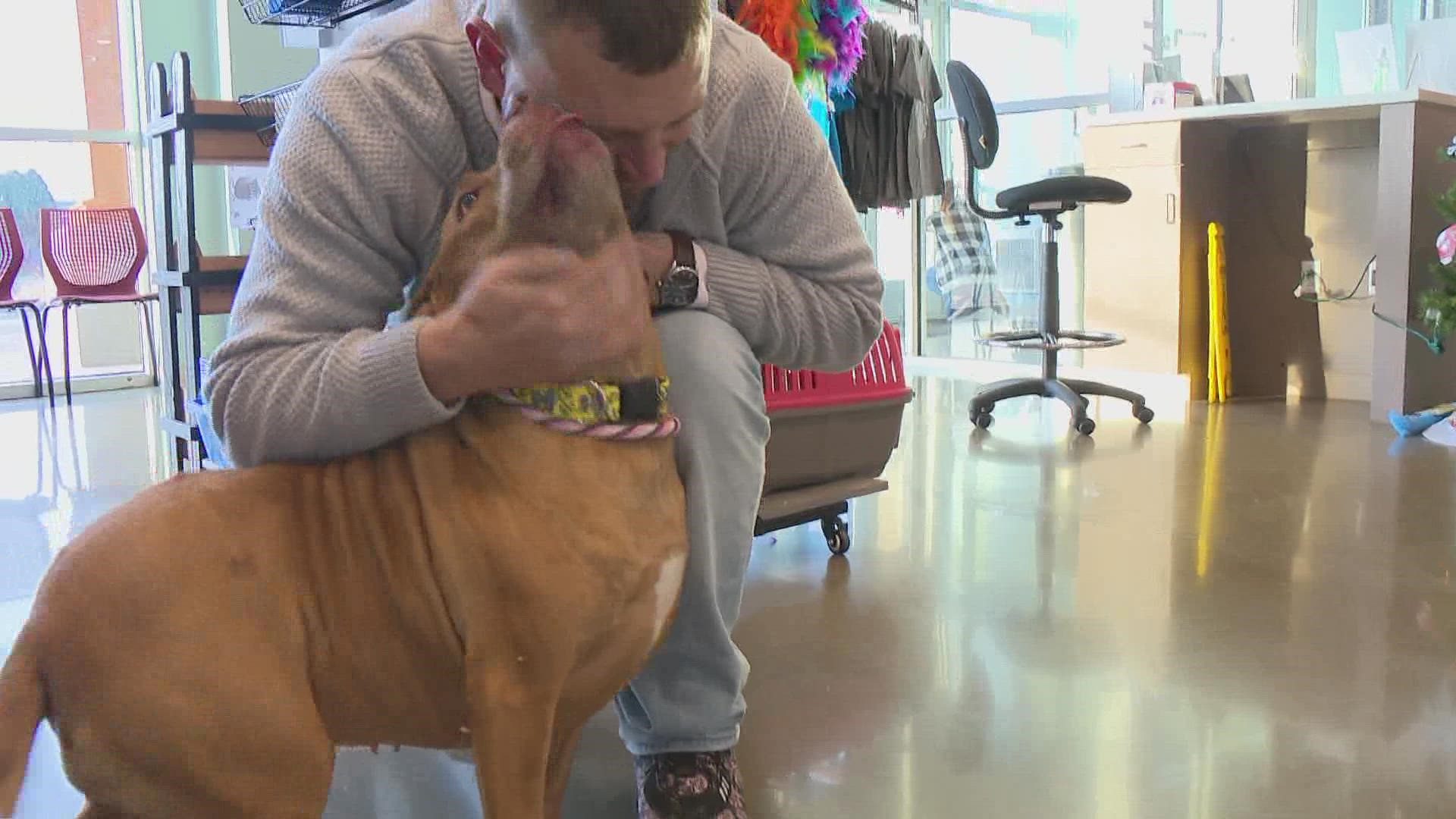 A Hamilton County program called Pets Healing Vets is pairing veterans with shelter animals.
