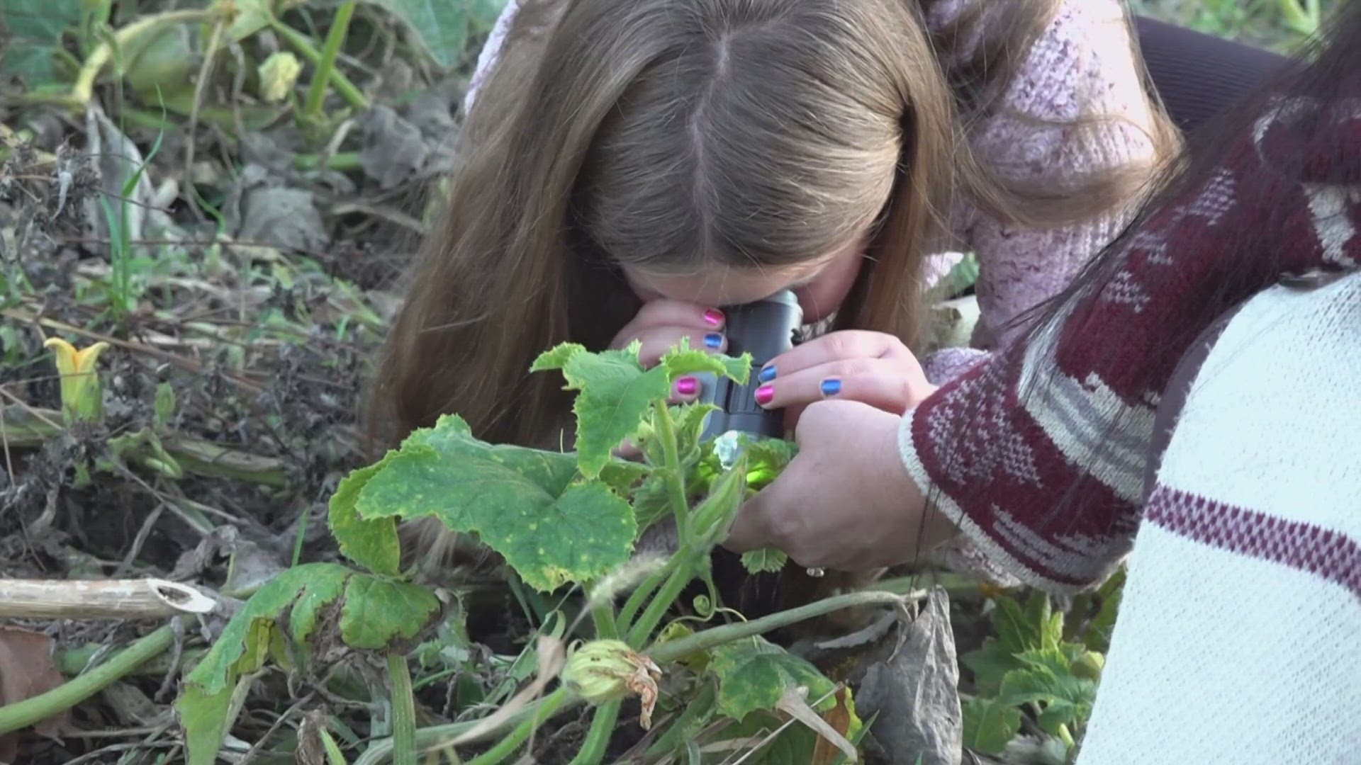 Homeschooling is quickly becoming a more popular choice for parents in Indiana.