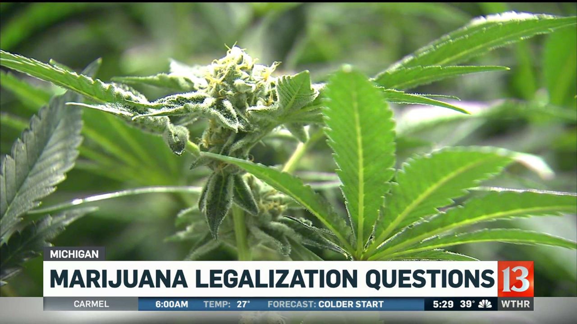 Q&A: Everything you need to know about the marijuana legalization