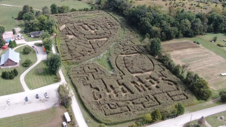 Bloomington pumpkin patch celebrates Hoosiers' title with epic corn maze