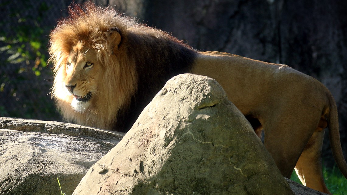 ZooBoo Returns to the Indianapolis Zoo With 21 Fun-Filled Days