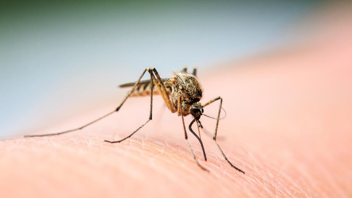 Hamilton County resident tests positive for West Nile virus
