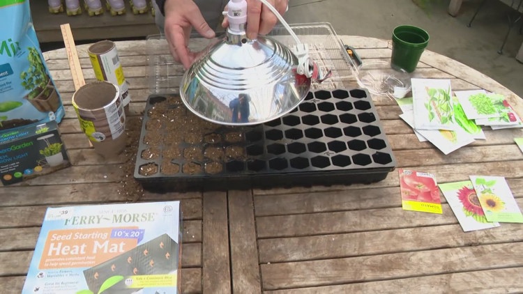 Pat Sullivan’s tips for planting new seedlings