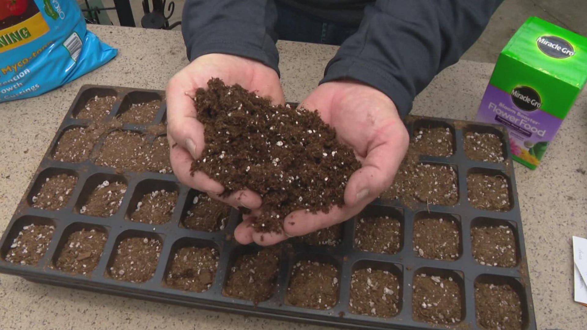The beginning of March is the best time to start seeds indoors to be ready for transplanting outdoors later this spring.