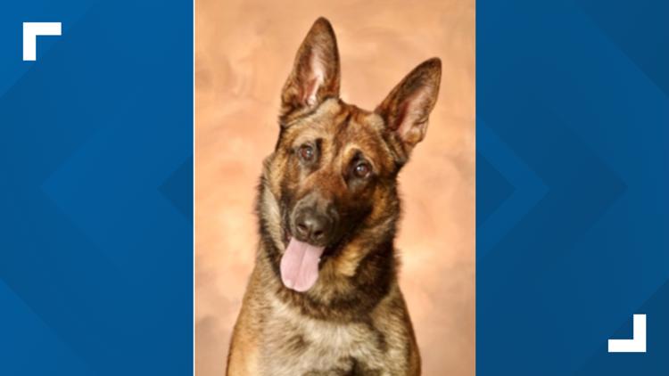 Tippecanoe County Sherriff’s Office announces death of K-9 officer from ‘medical condition’