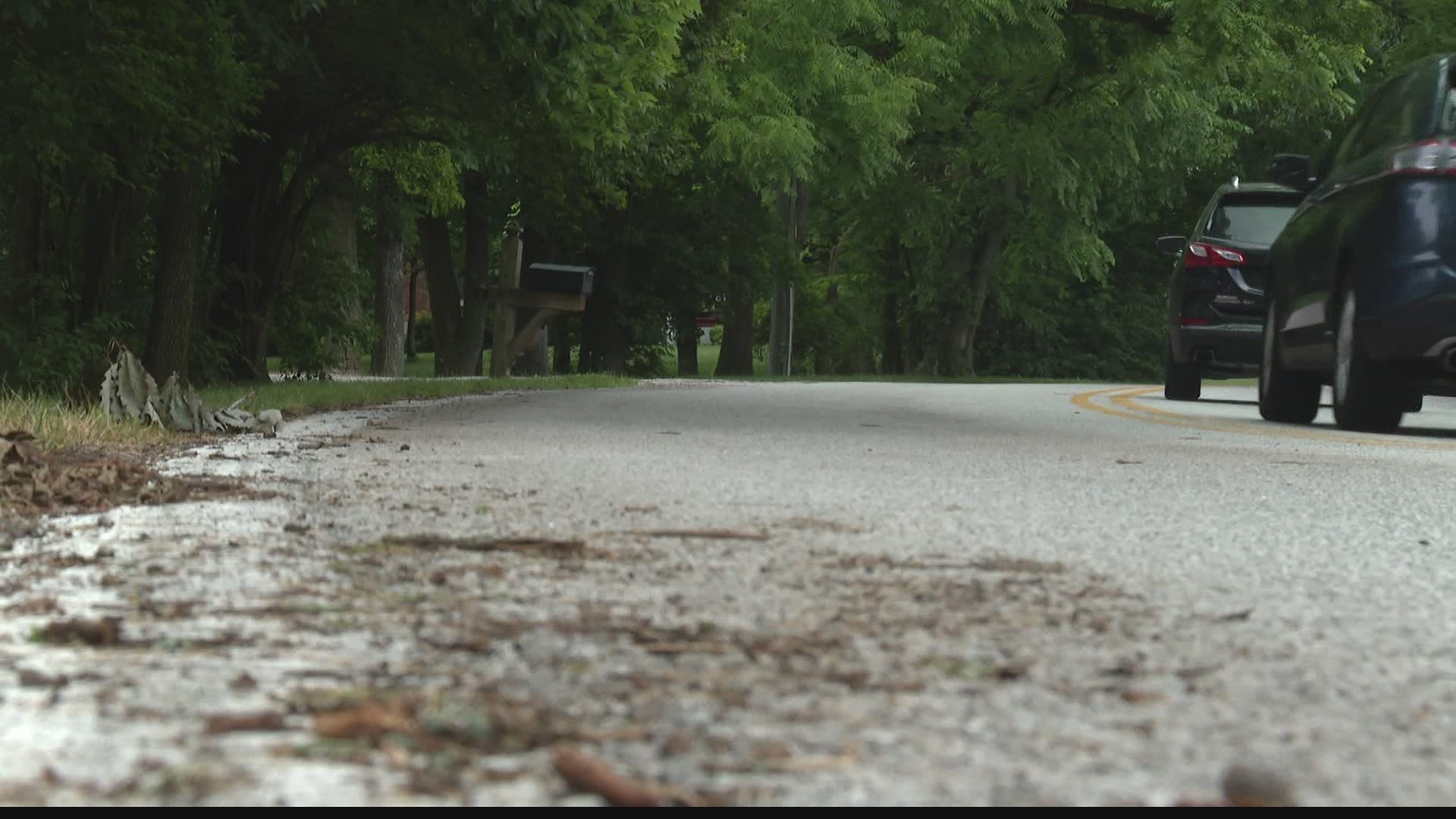 Right after the deadly crash, community members started a Change.org petition to add guardrails on Frye Road.