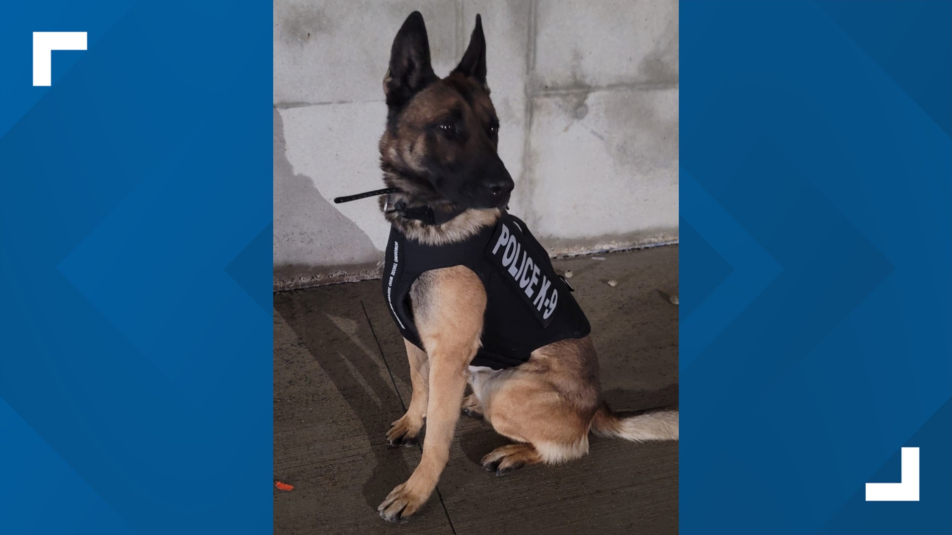 Impd K 9 Receives Body Armor Donation