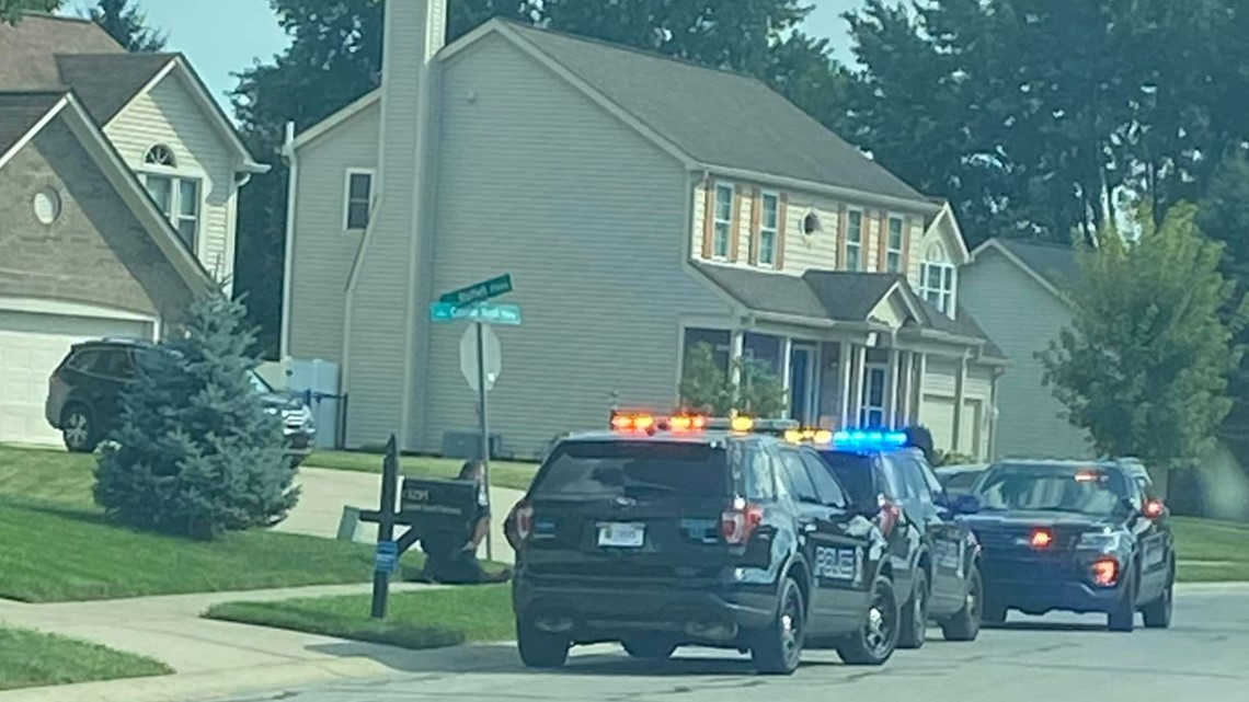 Shots fired inside Fishers home, 1 in custody
