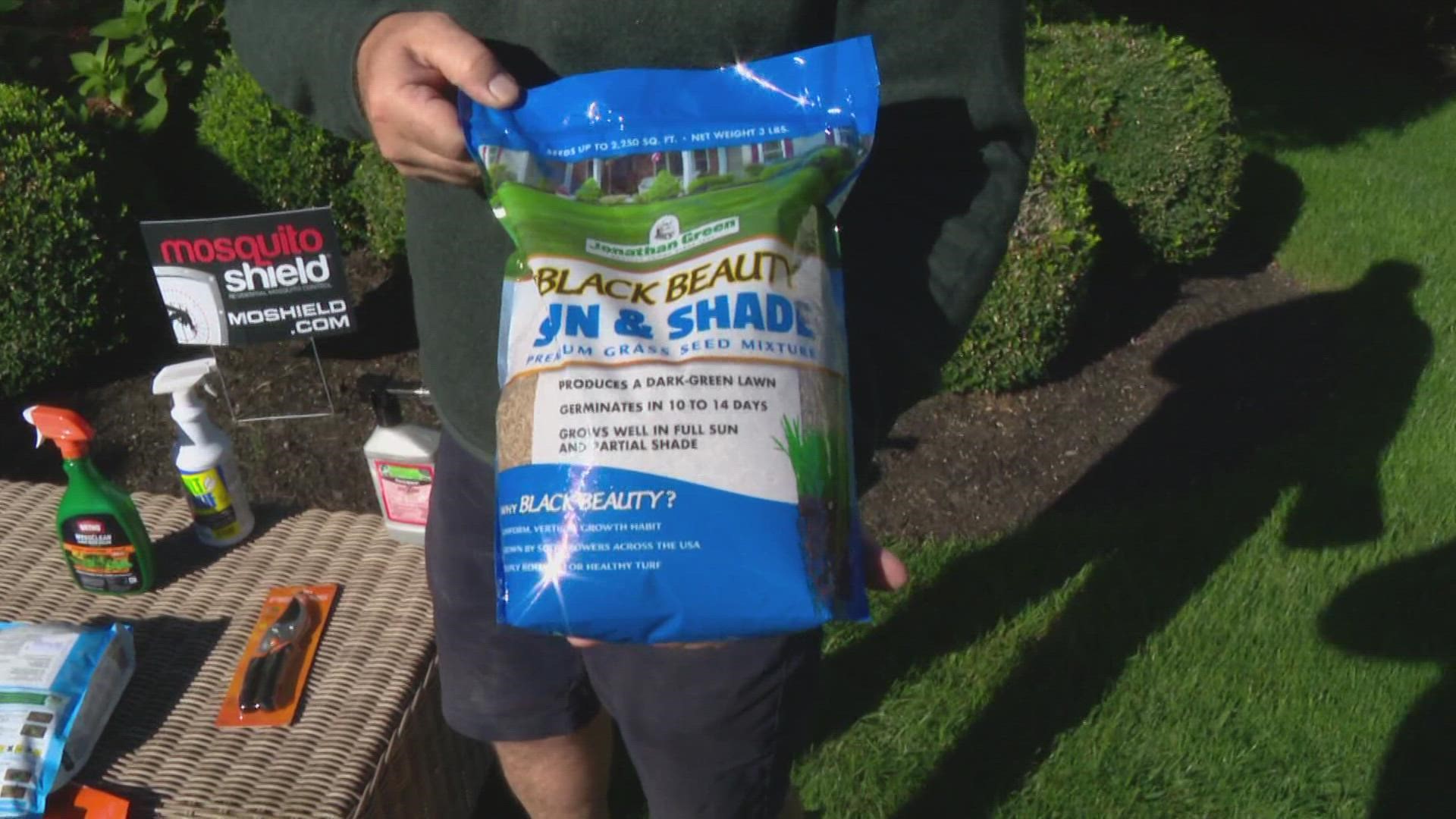September and November are the best months to fertilize your lawn.
