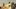 https://media.tegna-media.com/assets/WTHR/images/b31888c6-3ba7-458b-af5d-c36e3afd00b2/b31888c6-3ba7-458b-af5d-c36e3afd00b2_16x9.jpg