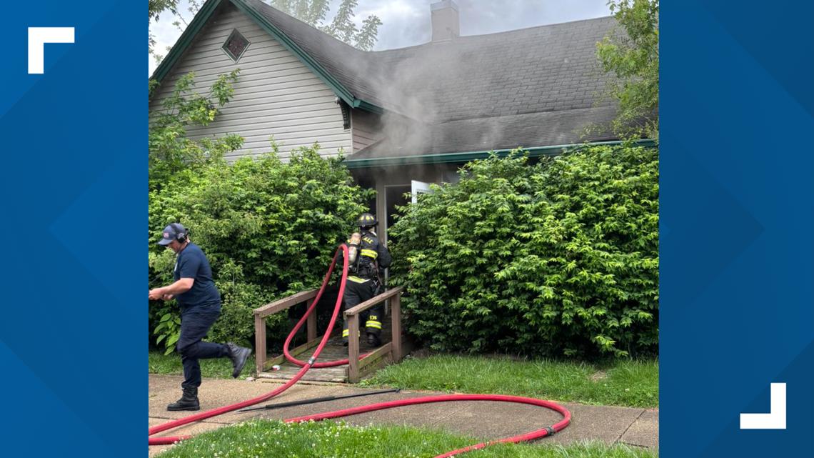 Several animals die in Shelbyville house fire
