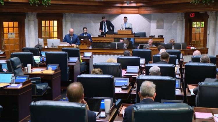 Bill aimed at protecting living organ donors passes out of Senate with overwhelming support
