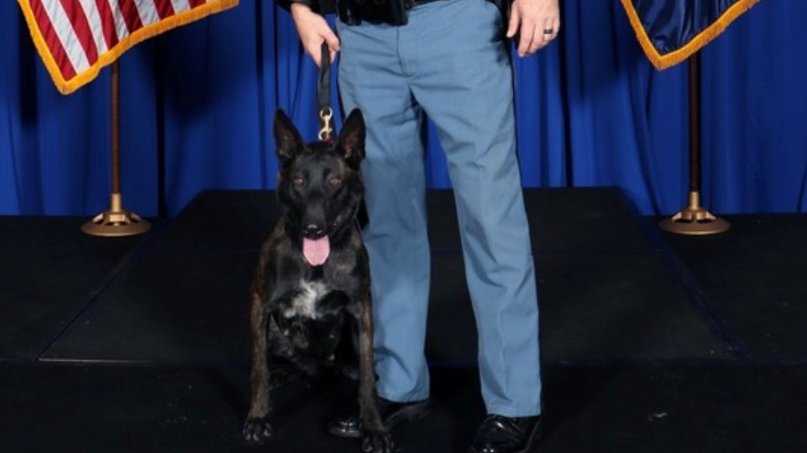 Patrol K-9 teams added in two state police districts - Vimarsana News