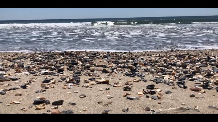 Get Beachy lackfarben For Android Beachy Lackfarben