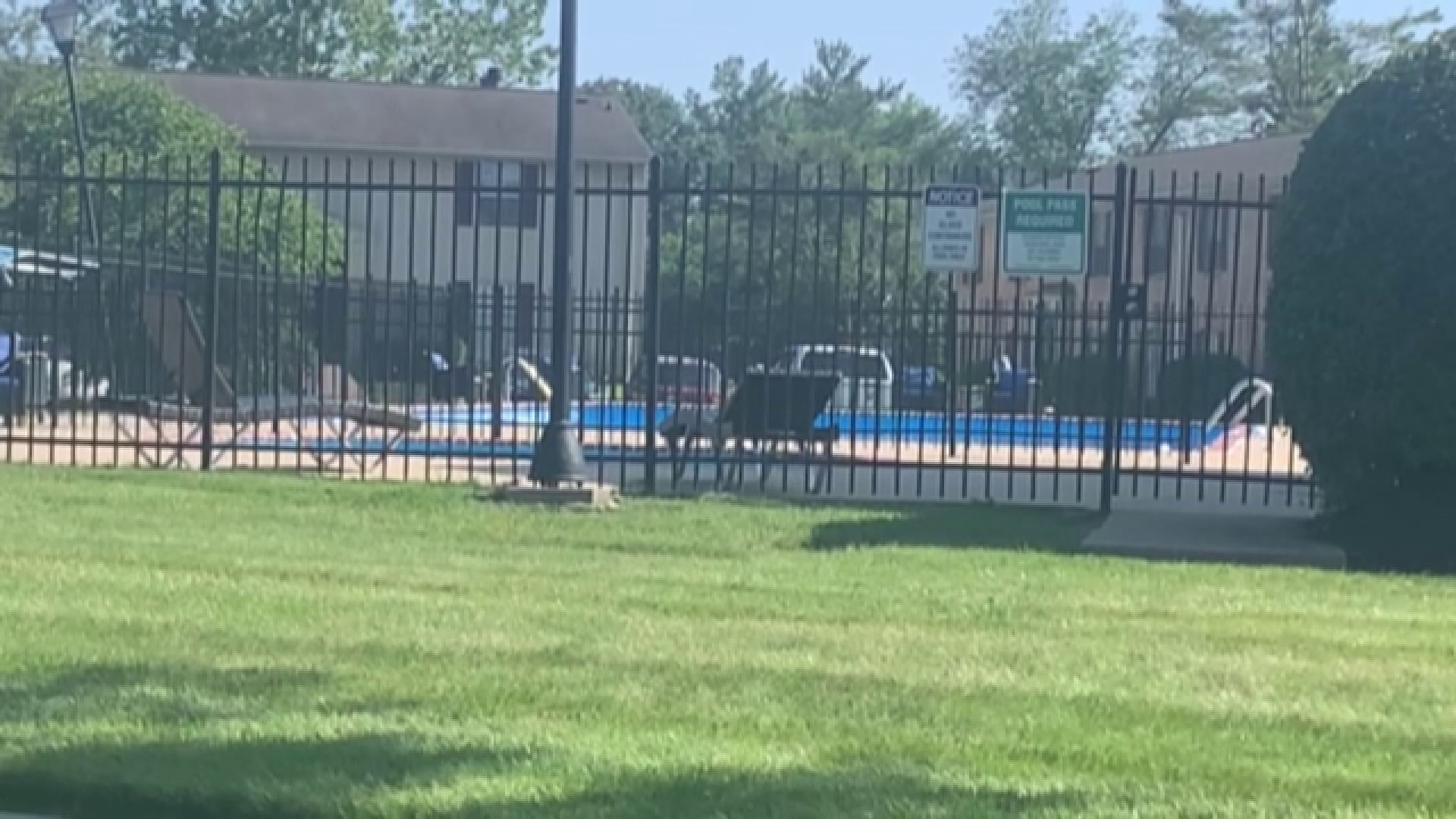 Police said the child was pulled from the pool around 3 p.m. at the Abney Lakes Apartments.