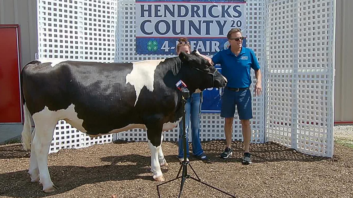 Good News The Hendricks County Fair