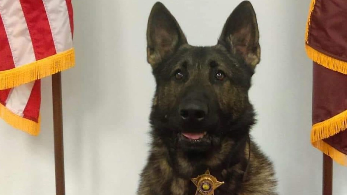 Bartholomew County honors police dog killed in the line of duty | wthr.com