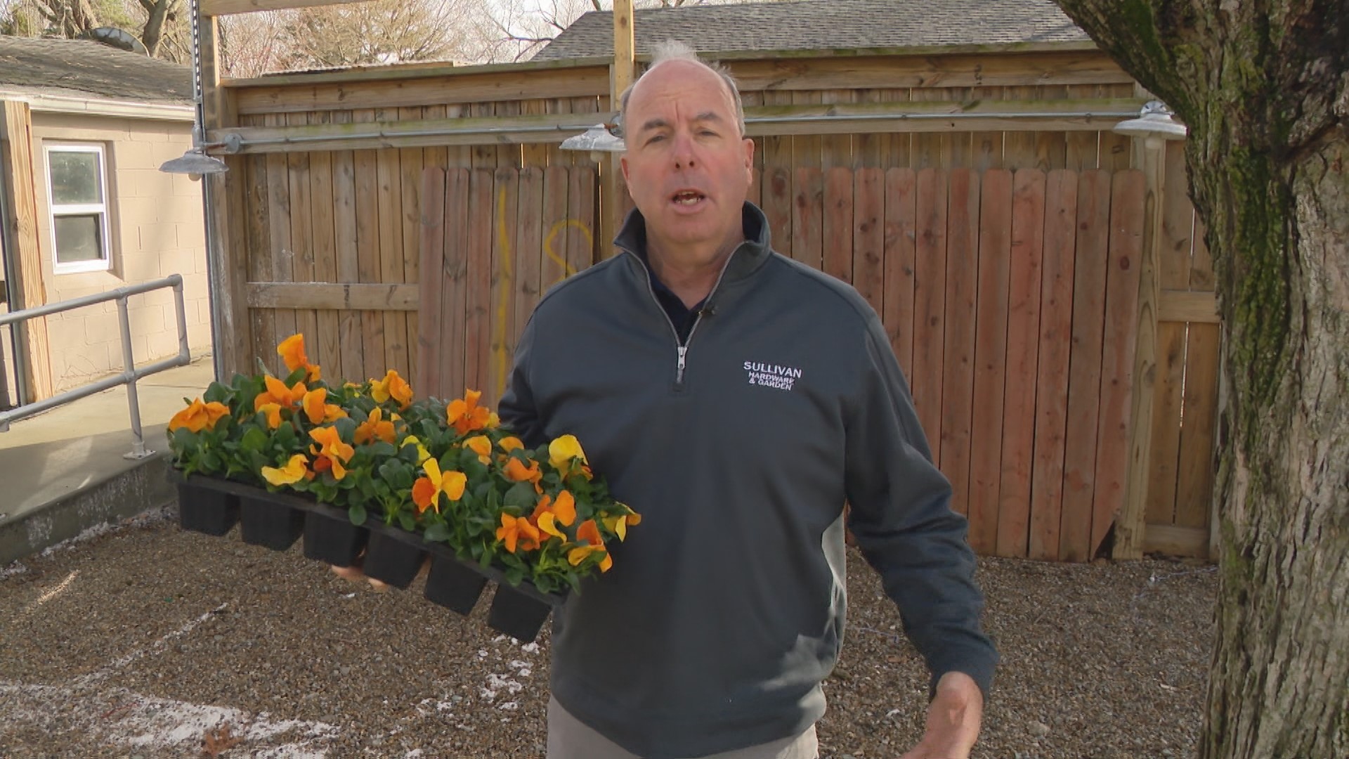 Pat Sullivan shares some tips of Do's and Dont's for getting your yard ready for spring! Plus more tips!