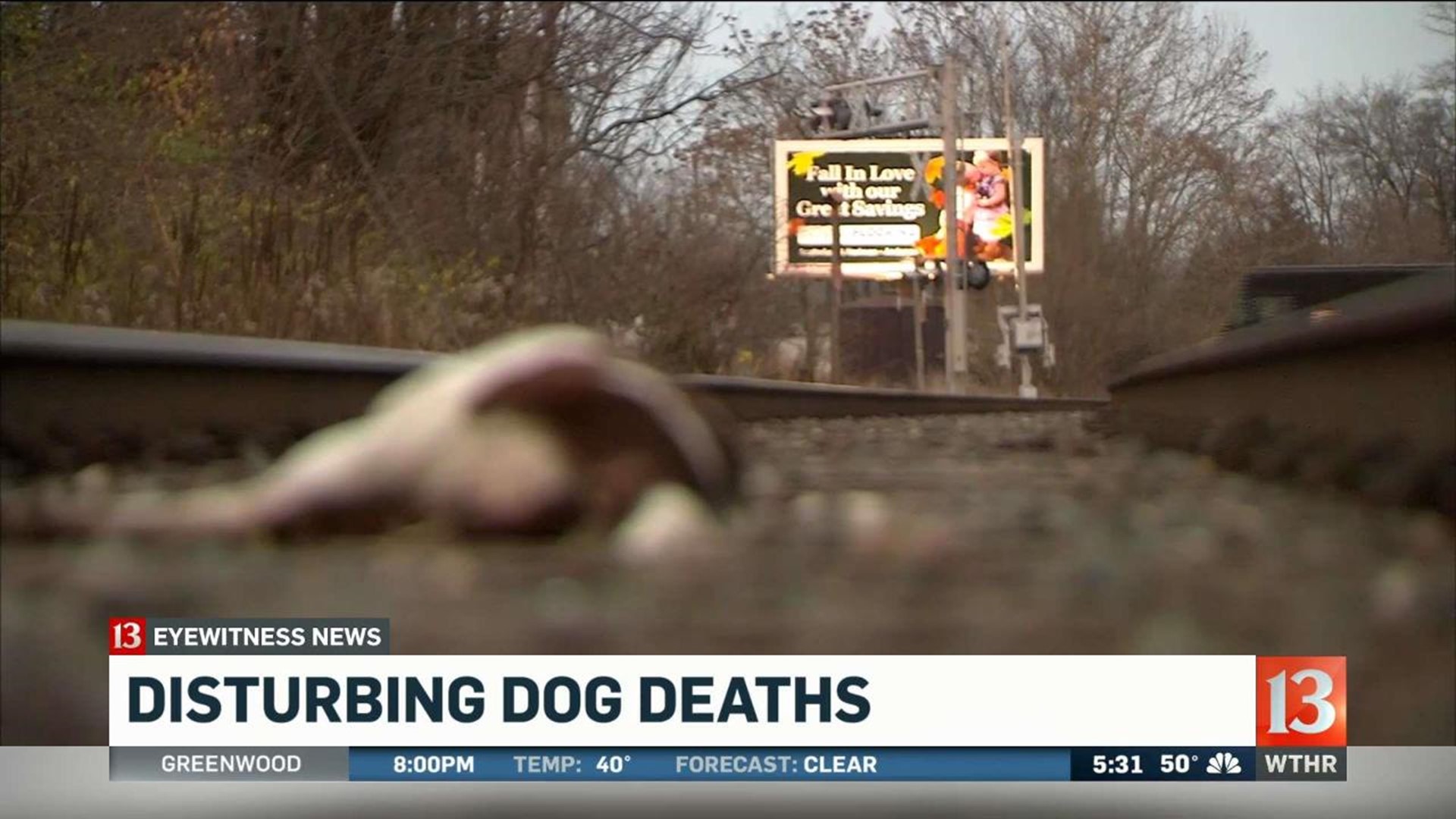 Dog deaths investigated