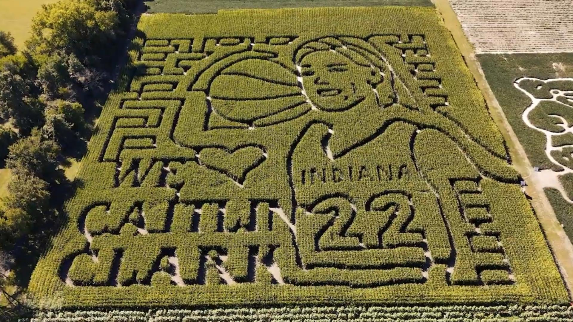 Check out the Caitlin Clark corn maze