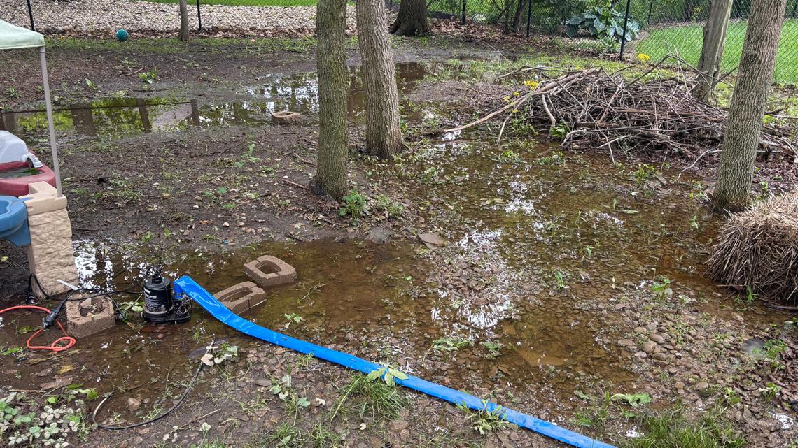 'It's a health and safety hazard' | Indianapolis man facing $22,000 fix to remedy backyard flooding