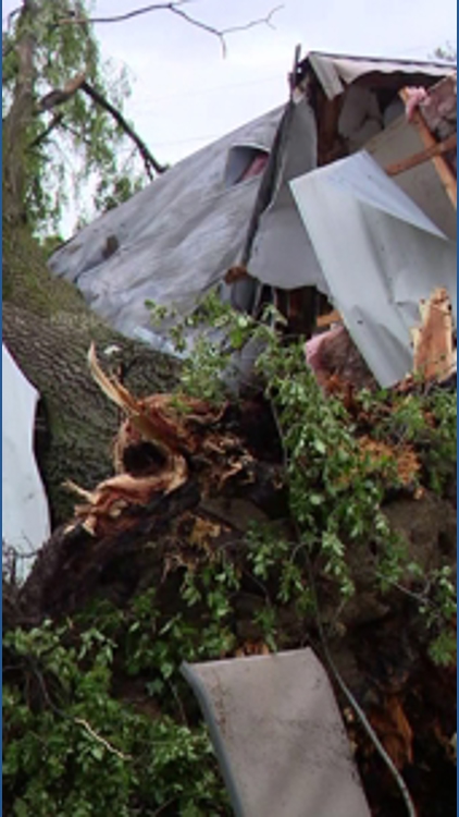 Storms leave path of damage from downtown Indianapolis to east central ...