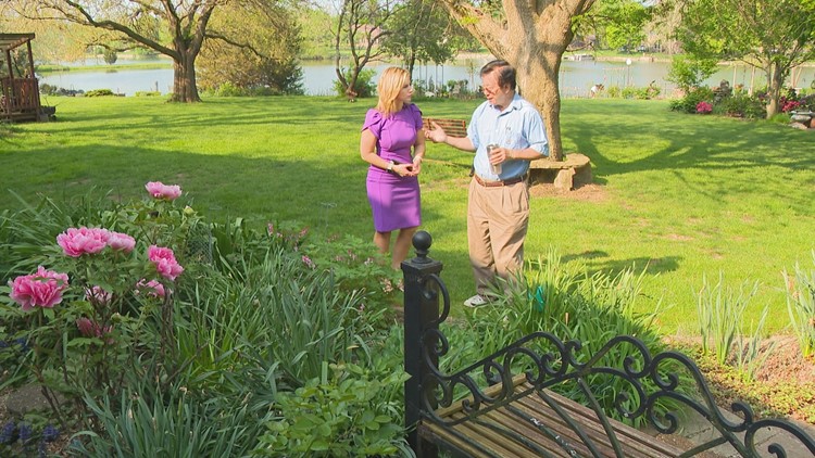 Carmel gardener brightens his neighborhood every spring
